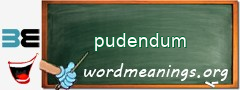 WordMeaning blackboard for pudendum